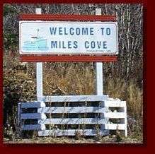 Visit Miles Cove to see lots of wildlife.  See Moose, Bears, foxes, Icebergs and More.